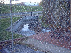 IMG00004_2