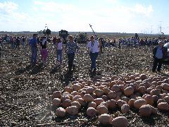 DSCN0934