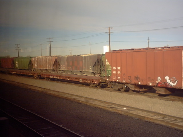 La Junta, CO: the yard