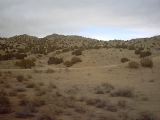 ABQ: a desert scene