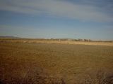 Colorado, a field