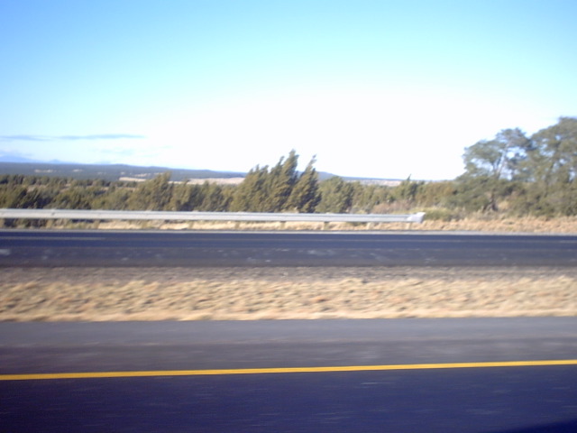 IMG00004.JPG