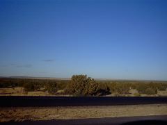 IMG00005.JPG