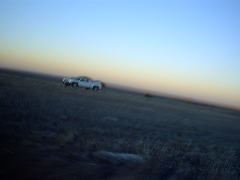 IMG00010.JPG