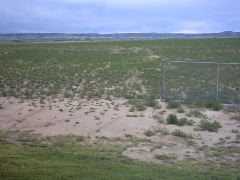 IMG00010_7